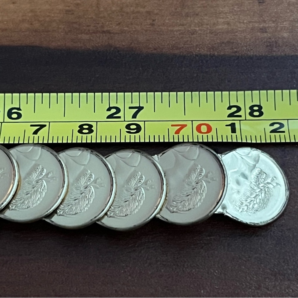 Coin Chain Belt - Picture 7 of 7
